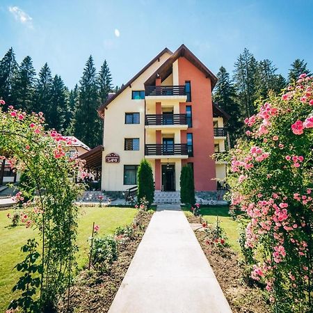 Pensiunea Sami Gura Humorului Exterior photo